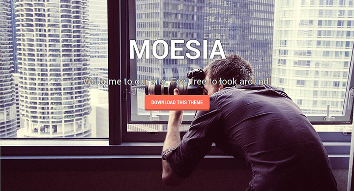 MOESIA - Flat design : 5 thèmes wordpress gratuits pour dynamiser votre site internet