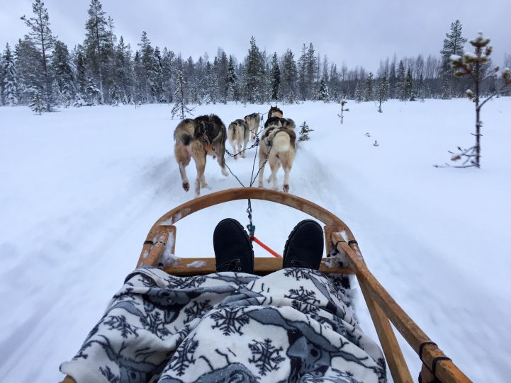 Laponie 2 e1520585903258 - Étudier en Finlande : Pierre, promo 2019, en échange à Helsinki